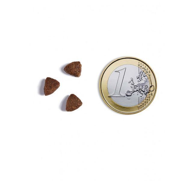 Беззерновий корм Ambrosia Grain free зі свіжою індичкою та оселедцем для стерилізованих кішок 5кг 5214001832279 фото